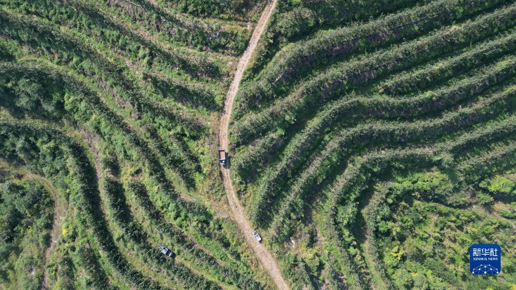博发棋牌网页登录